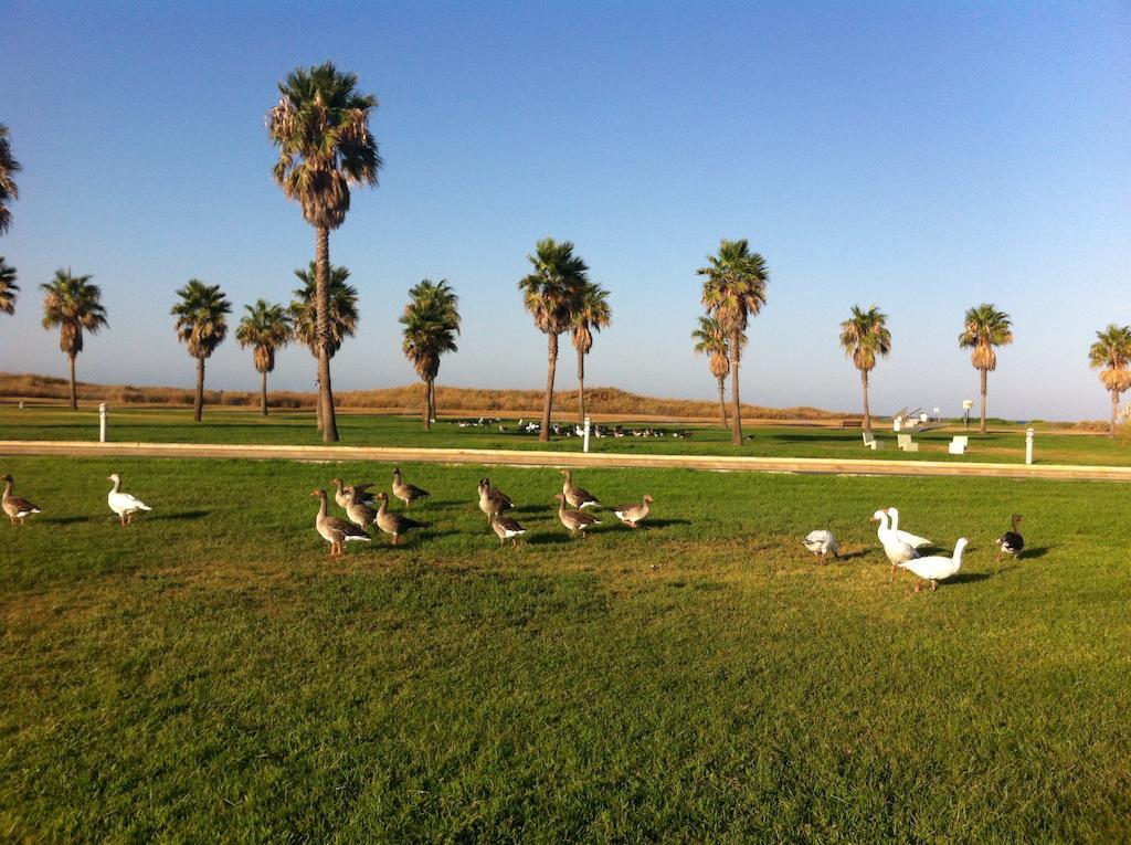 Life Apartments Costa Ballena Luaran gambar