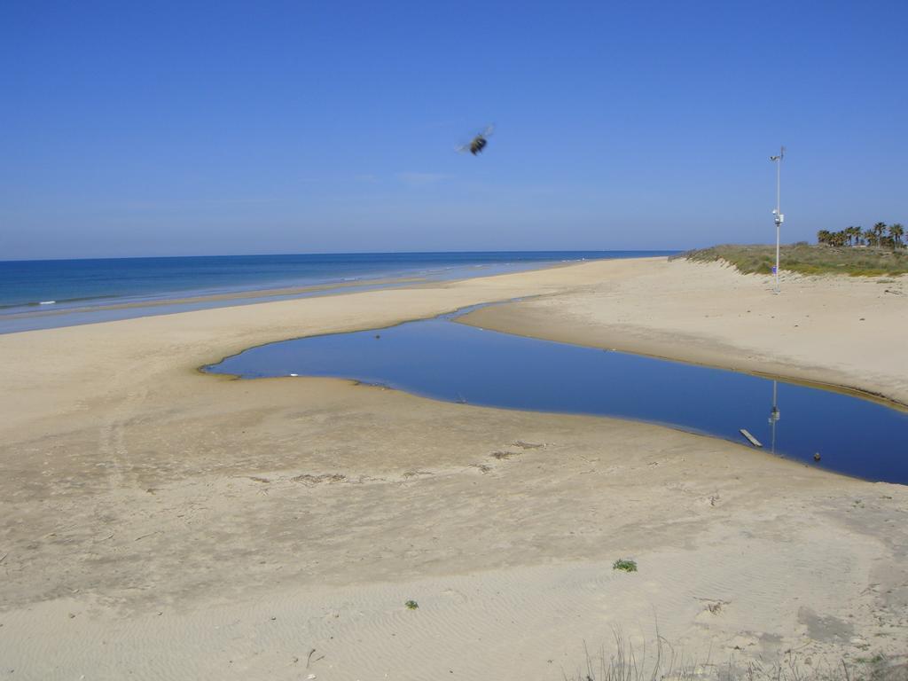 Life Apartments Costa Ballena Luaran gambar